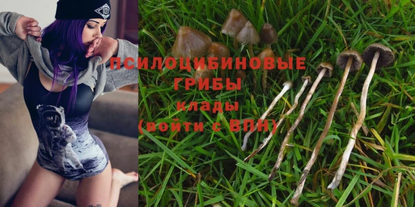 эйфоретик Дмитриев