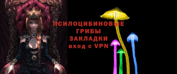 спайс Гусь-Хрустальный