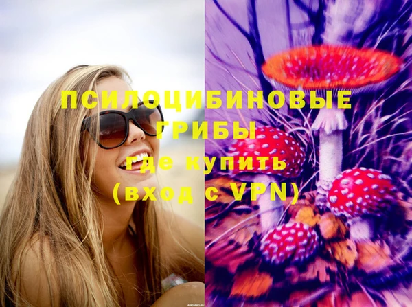 бутират Гусев