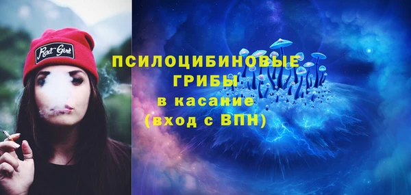 a pvp Гусиноозёрск
