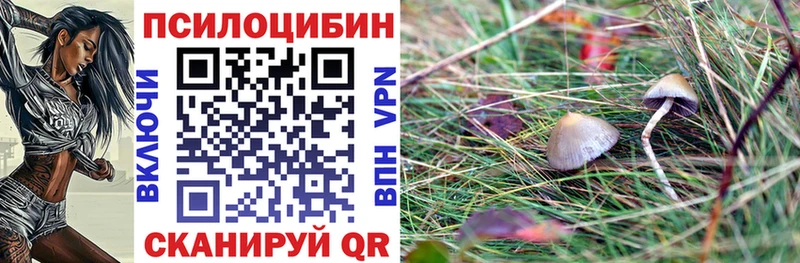 Псилоцибиновые грибы прущие грибы  Владикавказ 
